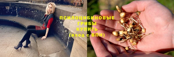 эйфоретик Армянск