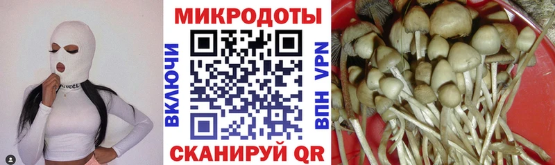 Псилоцибиновые грибы Psilocybe  где можно купить наркотик  Боровичи 